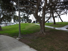 Enlarge photo 17