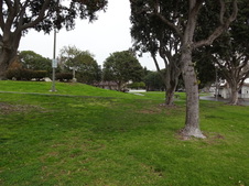 Enlarge photo 29
