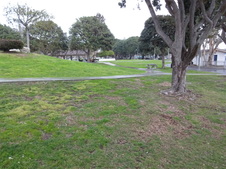 Enlarge photo 30
