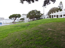Enlarge photo 33