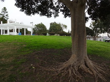 Enlarge photo 35