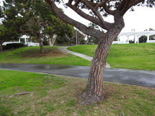 Enlarge photo 40