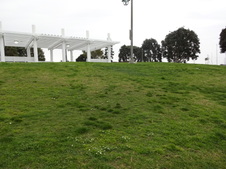 Enlarge photo 44
