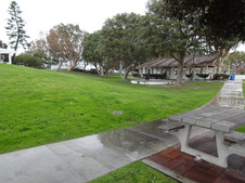 Enlarge photo 49