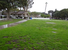Enlarge photo 54