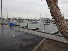 Enlarge photo 55
