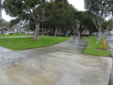 Enlarge photo 59