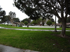 Enlarge photo 62