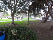 Enlarge photo 63