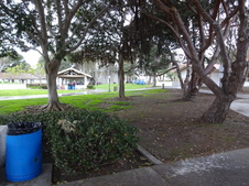 Enlarge photo 64