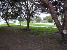 Enlarge photo 65