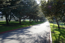 Enlarge photo 63