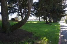 Enlarge photo 64