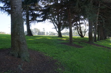 Enlarge photo 65