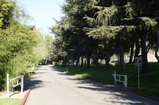 Enlarge photo 66