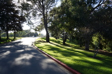 Enlarge photo 67