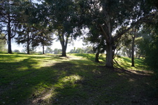 Enlarge photo 68