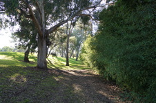 Enlarge photo 69
