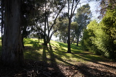 Enlarge photo 70
