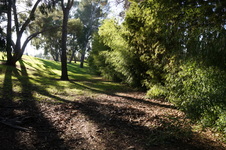 Enlarge photo 71