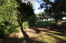 Enlarge photo 72