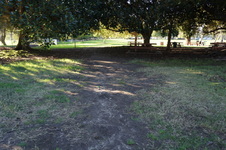 Enlarge photo 73