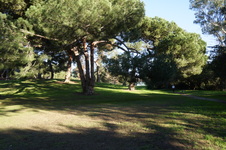 Enlarge photo 17