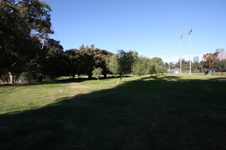 Enlarge photo 79