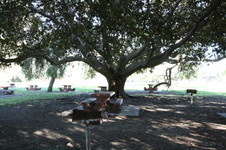 Enlarge photo 80