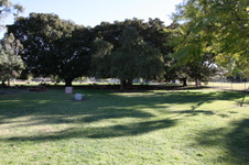 Enlarge photo 76