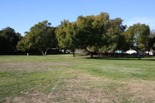 Enlarge photo 77