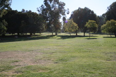 Enlarge photo 78