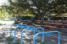 Enlarge photo 81
