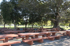 Enlarge photo 82