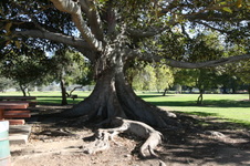 Enlarge photo 83