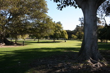 Enlarge photo 84