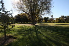 Enlarge photo 74