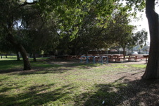Enlarge photo 86