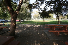 Enlarge photo 90