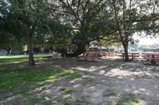 Enlarge photo 92