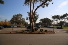 Enlarge photo 94