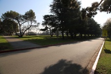Enlarge photo 96
