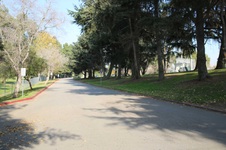 Enlarge photo 102