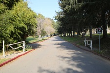 Enlarge photo 104