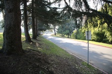 Enlarge photo 107