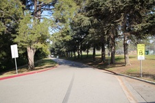 Enlarge photo 110