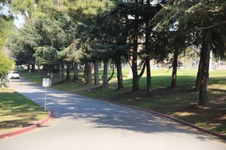Enlarge photo 111