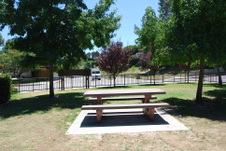 Enlarge photo 11