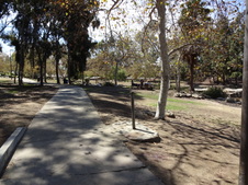 Enlarge photo 16