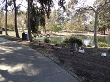 Enlarge photo 17